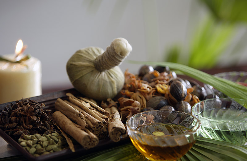 Ayurveda & Wellness Retreats