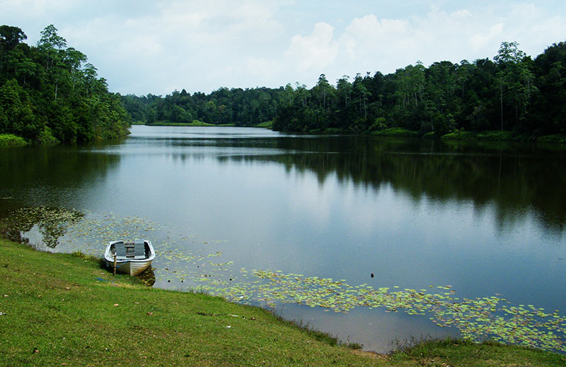 Hiyare Reservoir Rainforest