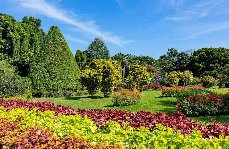 Peradeniya Royal Botanical Gardens