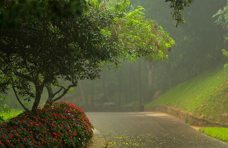 The Nuwara Eliya Ramayana Trail