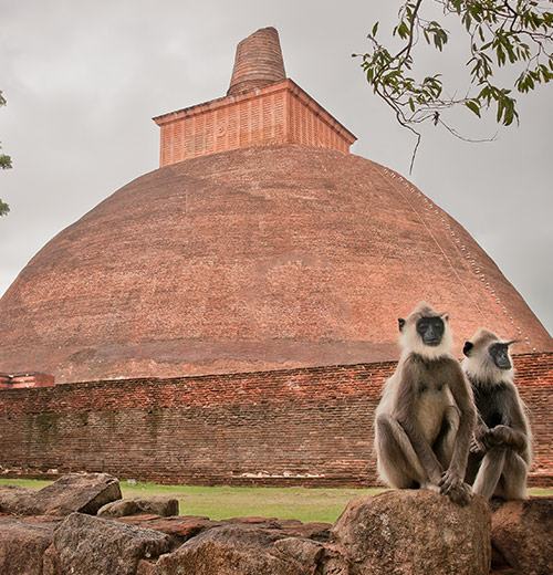 Anuradhapura