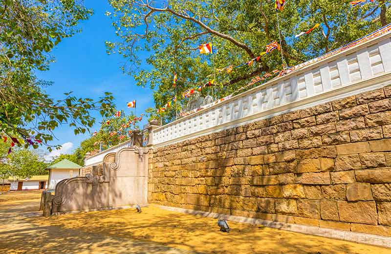 Jaya Sri Maha Bodhiya
