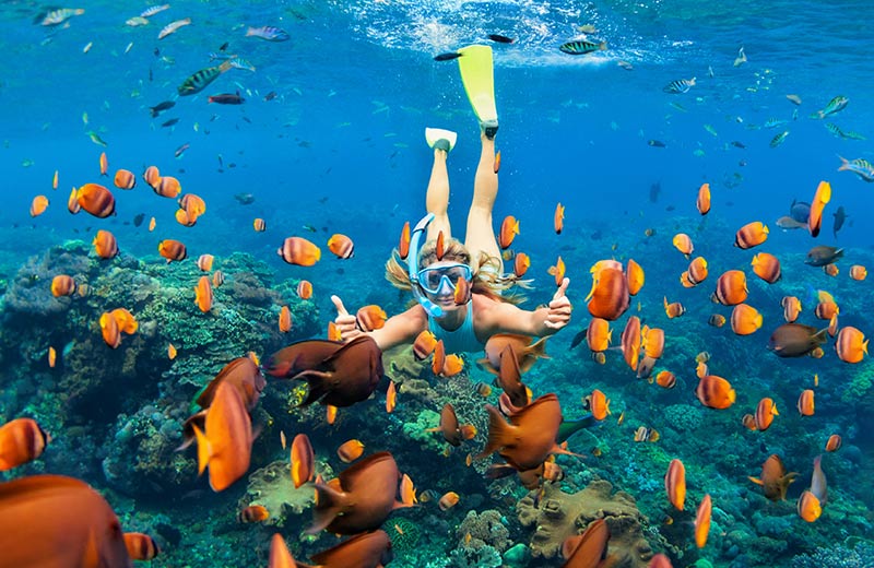 Diving and Snorkelling