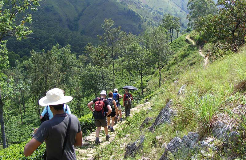 Walkers Tours – Pekoe Trail